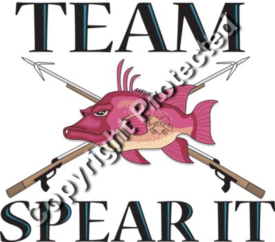 Team Spear It Back of shirt